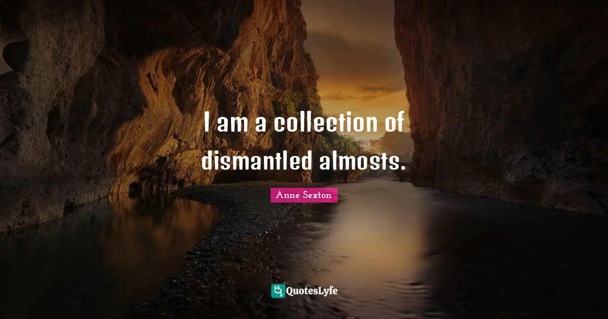 I am a collection of dismantled almosts.