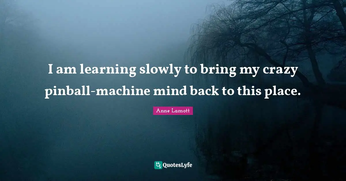 I am learning slowly to bring my crazy pinball-machine mind back to this place.
