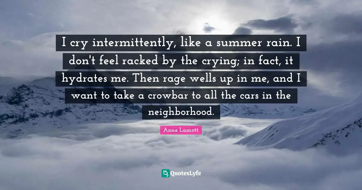 I cry intermittently, like a summer rain. I don't feel racked by the crying; in fact, it hydrates me. Then rage wells up in me, and I want to take a crowbar to all the cars in the neighborhood.