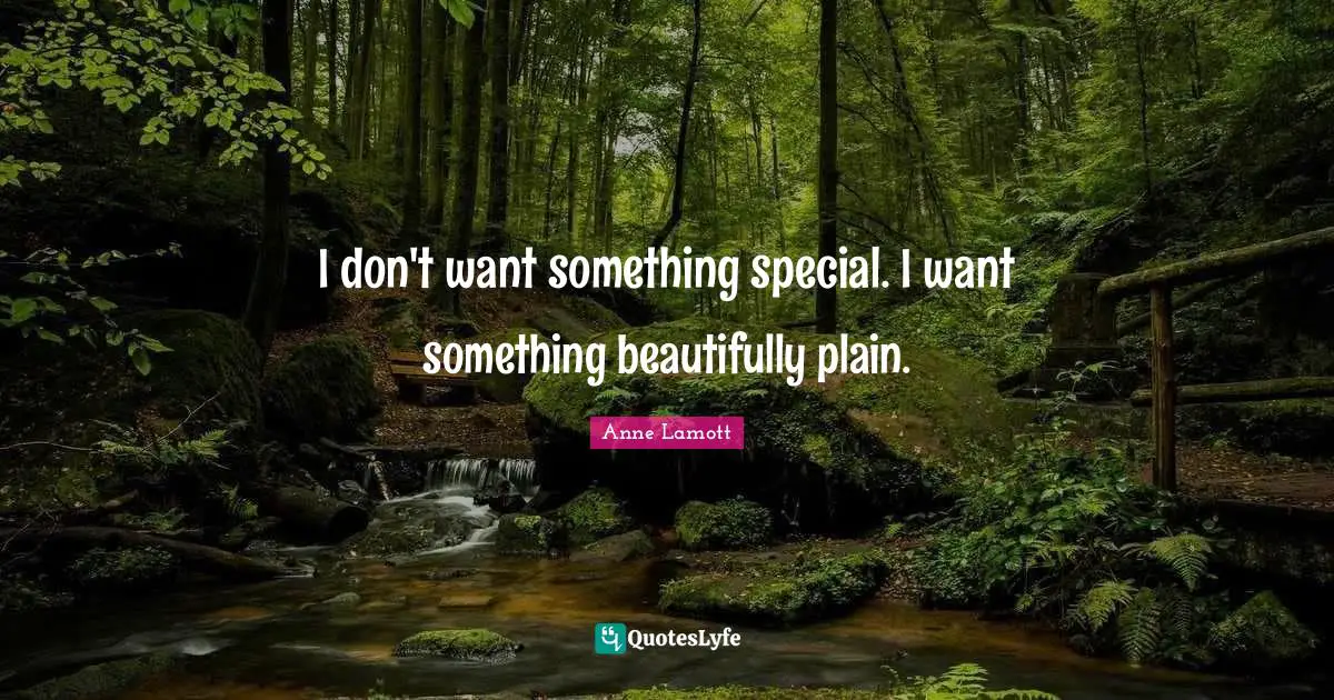 I don't want something special. I want something beautifully plain.