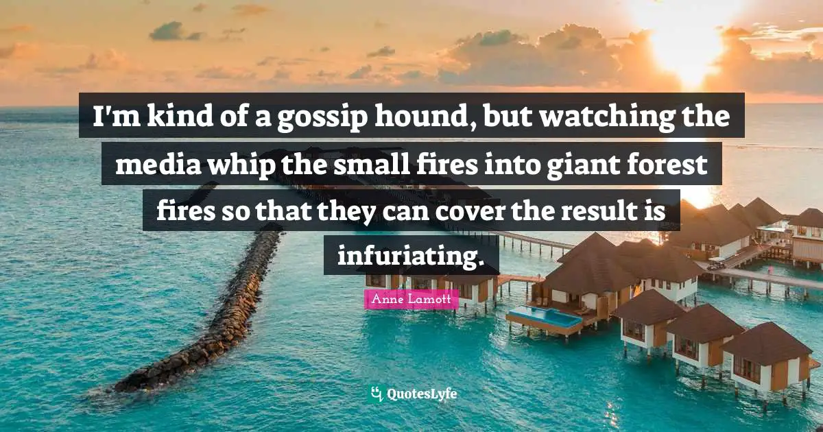 I'm kind of a gossip hound, but watching the media whip the small fires into giant forest fires so that they can cover the result is infuriating.
