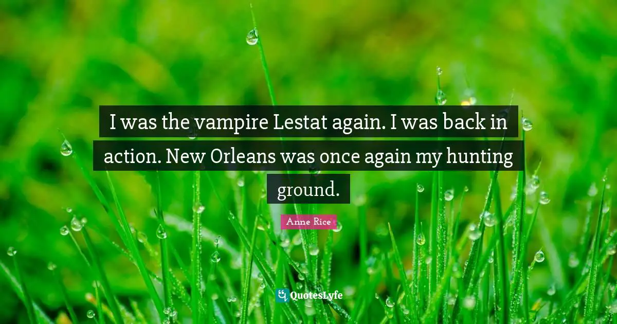 I was the vampire Lestat again. I was back in action. New Orleans was once again my hunting ground.
