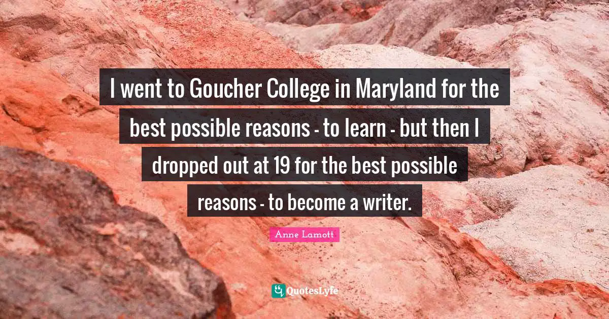 I went to Goucher College in Maryland for the best possible reasons - to learn - but then I dropped out at 19 for the best possible reasons - to become a writer.