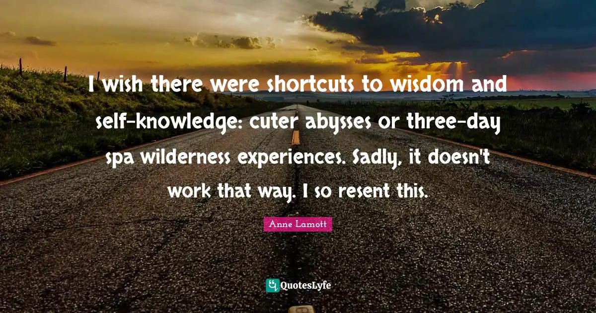 I wish there were shortcuts to wisdom and self-knowledge: cuter abysses or three-day spa wilderness experiences. Sadly, it doesn't work that way. I so resent this.
