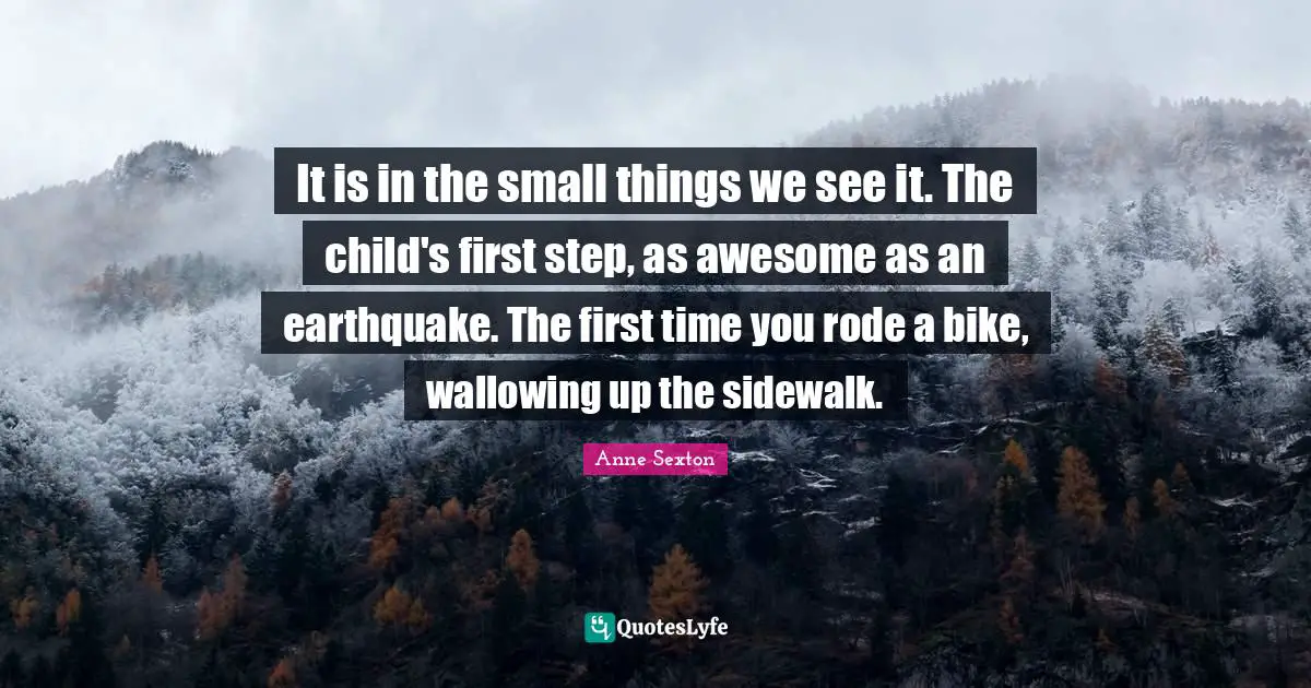 It is in the small things we see it. The child's first step, as awesome as an earthquake. The first time you rode a bike, wallowing up the sidewalk.