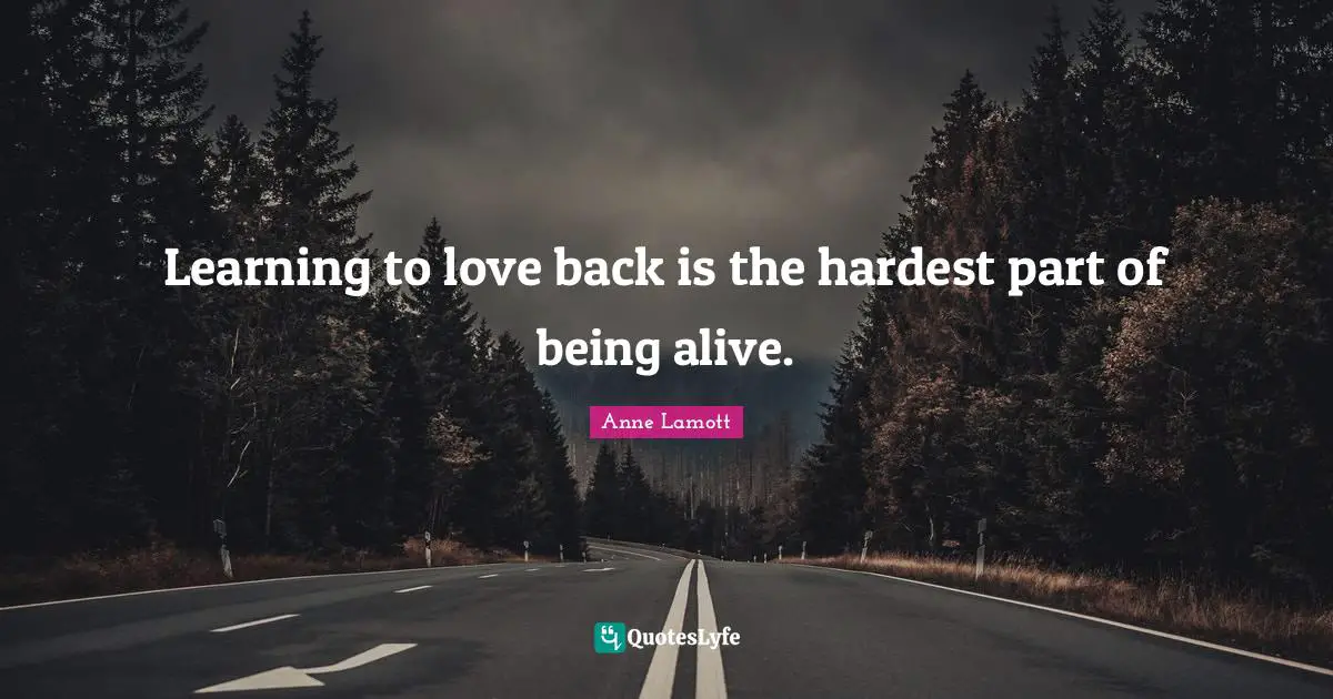 Learning to love back is the hardest part of being alive.