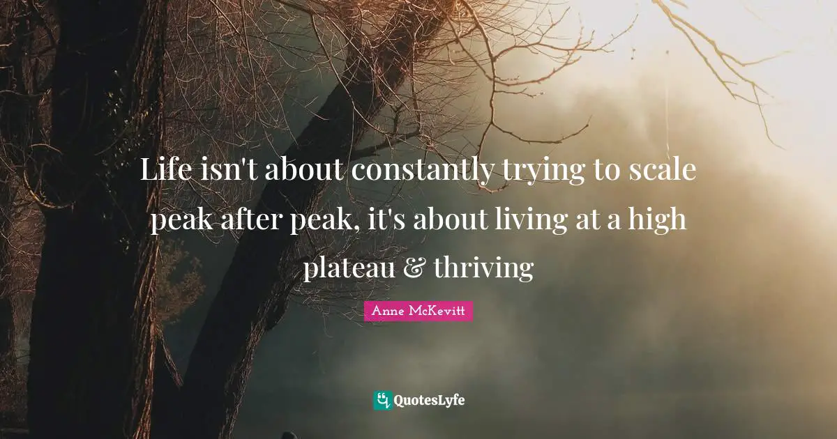 Life isn't about constantly trying to scale peak after peak, it's about living at a high plateau & thriving