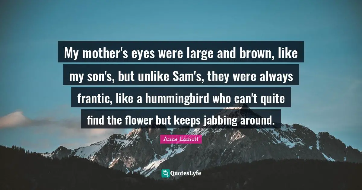My mother's eyes were large and brown, like my son's, but unlike Sam's, they were always frantic, like a hummingbird who can't quite find the flower but keeps jabbing around.