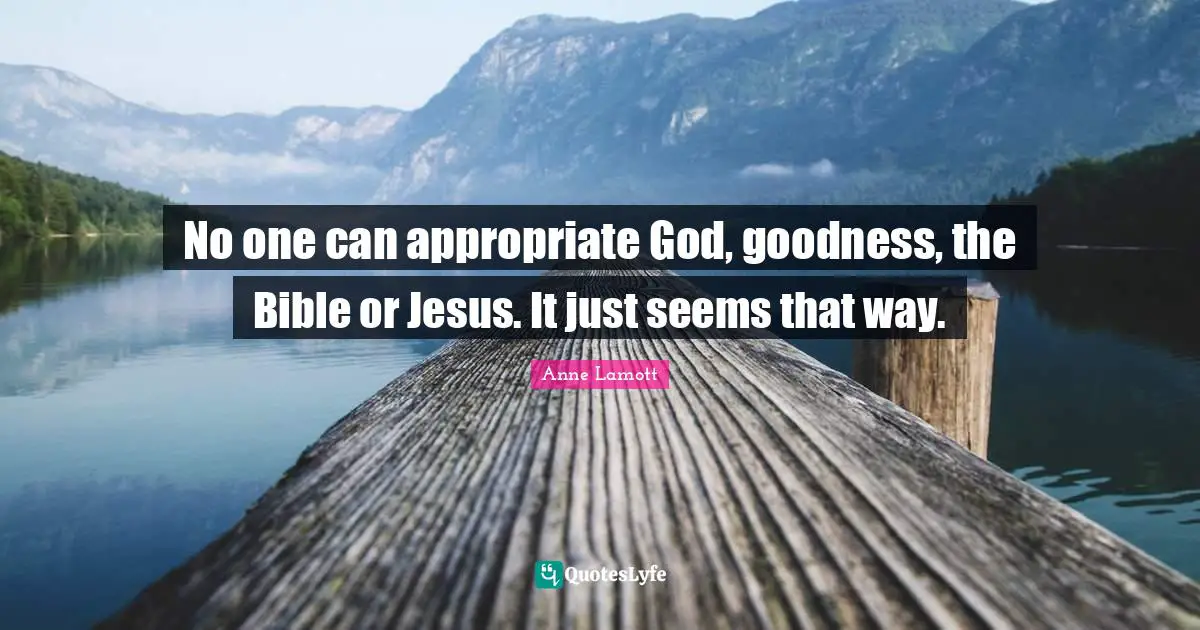 No one can appropriate God, goodness, the Bible or Jesus. It just seems that way.