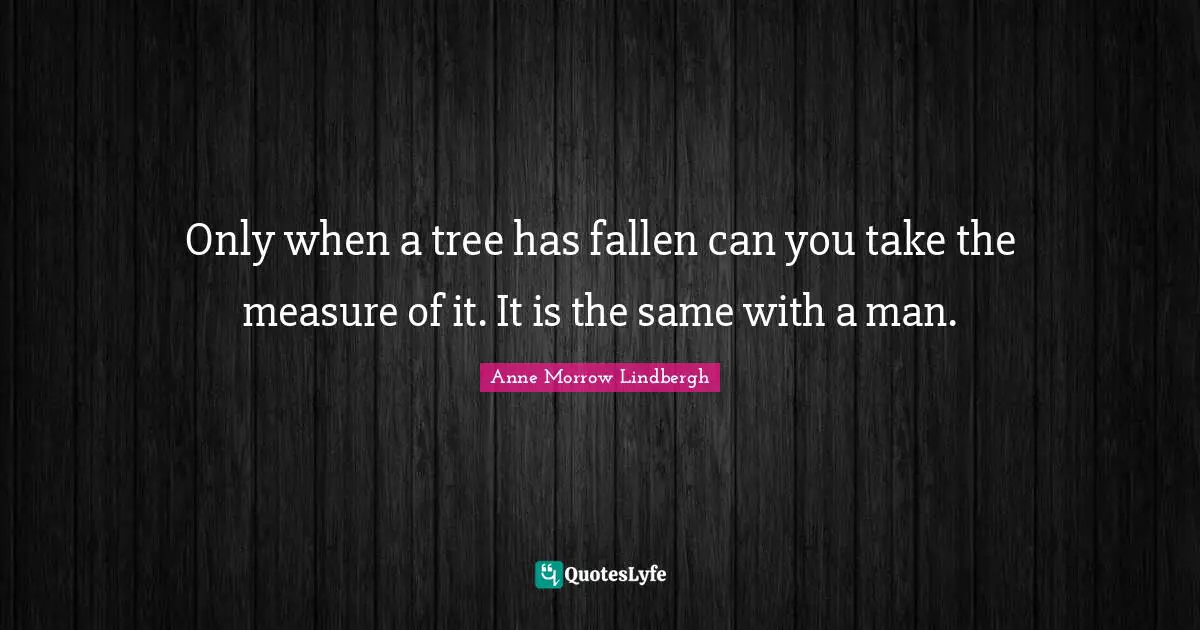 Anne Morrow Lindbergh Quotes: "Only when a tree has fallen can you take the measure of it. It is the same with a man."
