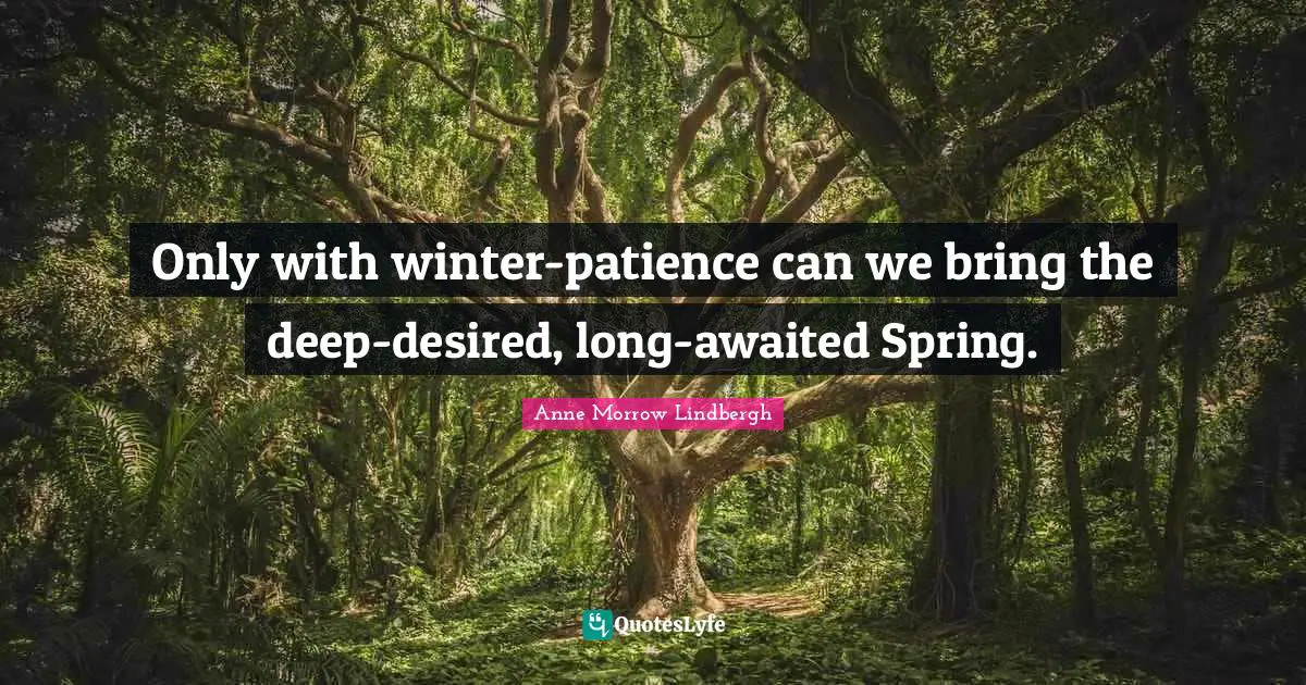 Only with winter-patience can we bring the deep-desired, long-awaited Spring.
