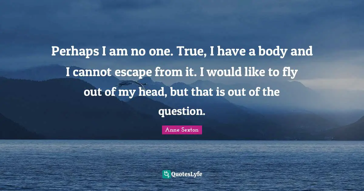 Perhaps I am no one. True, I have a body and I cannot escape from it. I would like to fly out of my head, but that is out of the question.