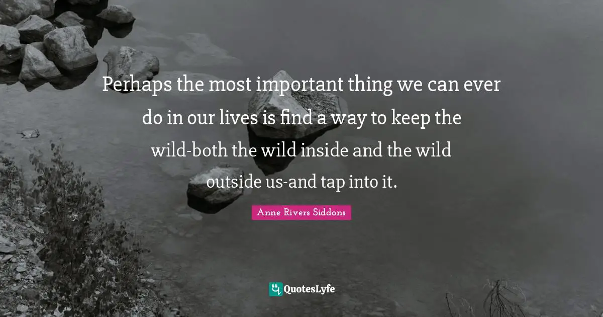 Perhaps the most important thing we can ever do in our lives is find a way to keep the wild-both the wild inside and the wild outside us-and tap into it.