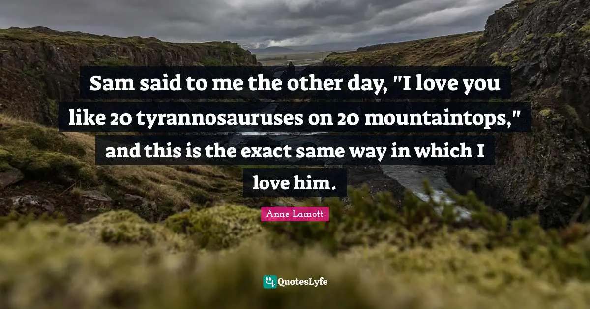 Sam said to me the other day, "I love you like 20 tyrannosauruses on 20 mountaintops," and this is the exact same way in which I love him.