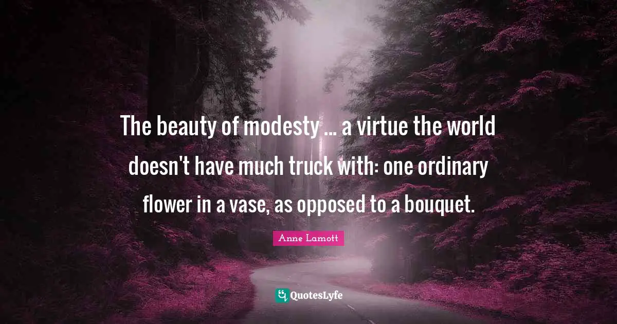 The beauty of modesty ... a virtue the world doesn't have much truck with: one ordinary flower in a vase, as opposed to a bouquet.