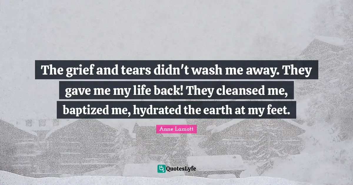 The grief and tears didn't wash me away. They gave me my life back! They cleansed me, baptized me, hydrated the earth at my feet.