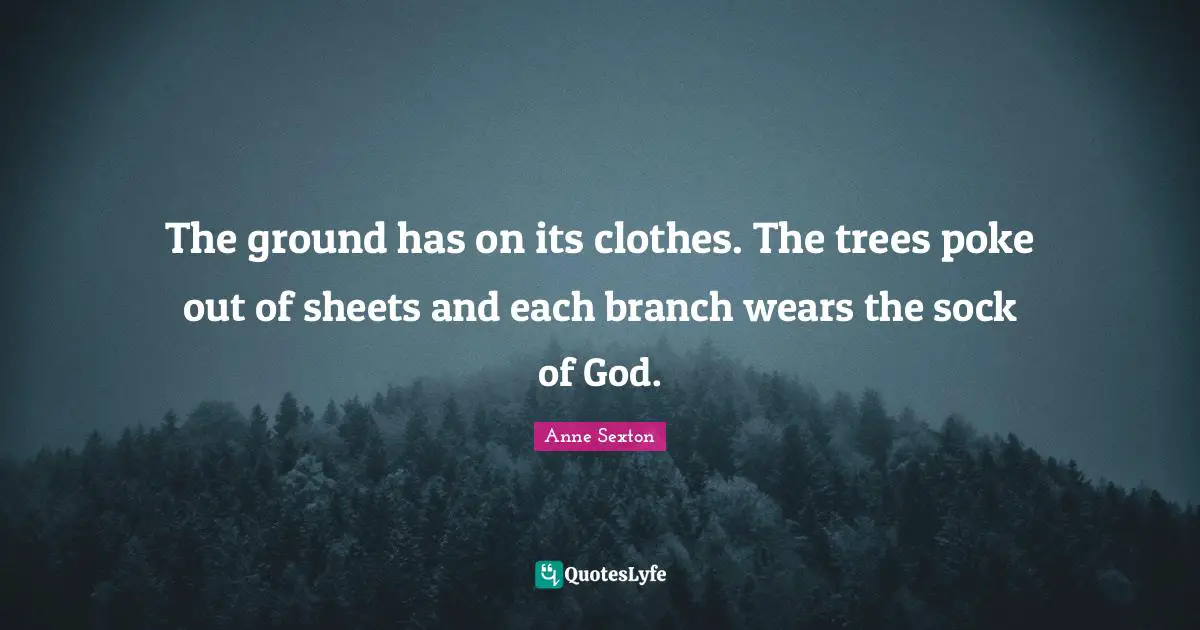 The ground has on its clothes. The trees poke out of sheets and each branch wears the sock of God.