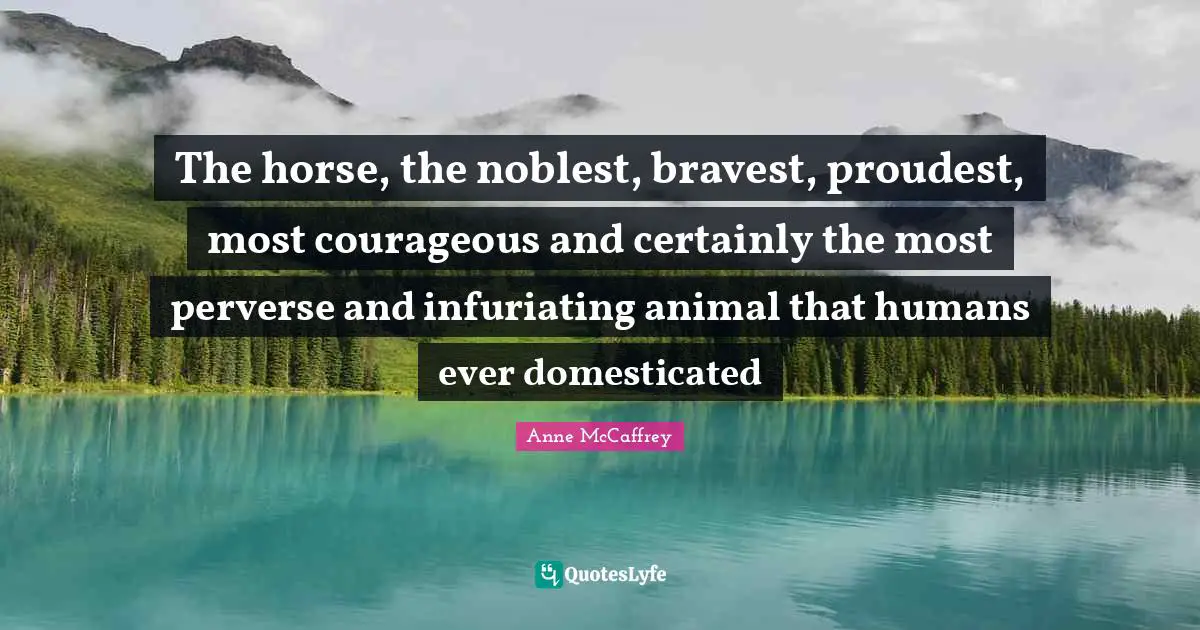The horse, the noblest, bravest, proudest, most courageous and certainly the most perverse and infuriating animal that humans ever domesticated