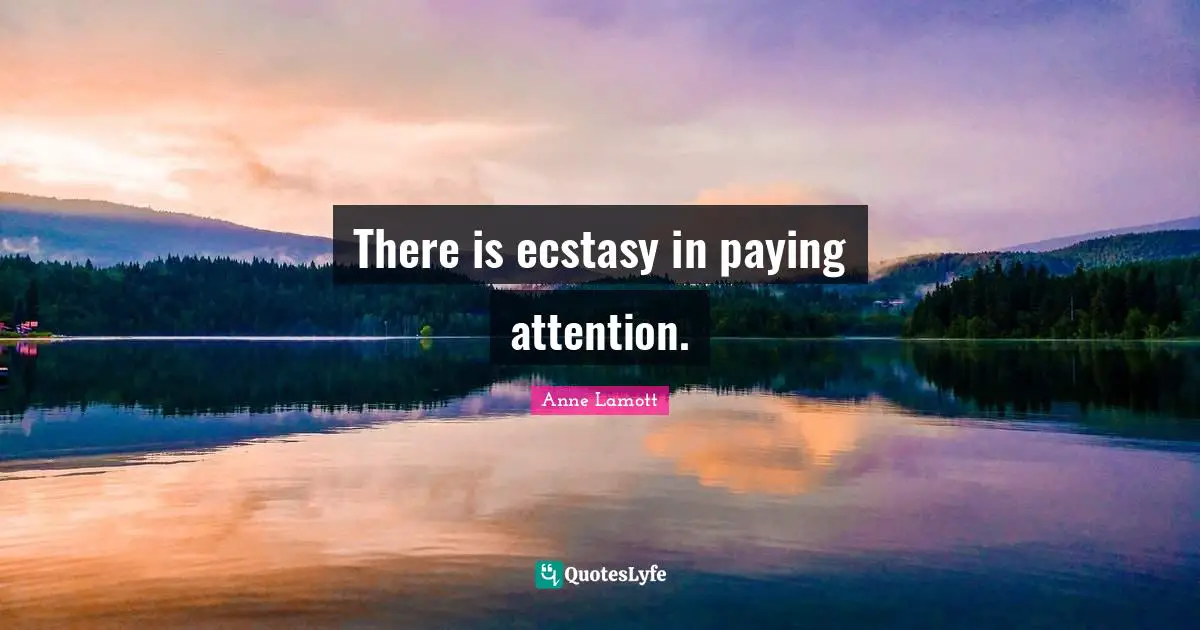 There is ecstasy in paying attention.