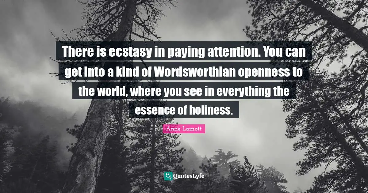 There is ecstasy in paying attention. You can get into a kind of Wordsworthian openness to the world, where you see in everything the essence of holiness.