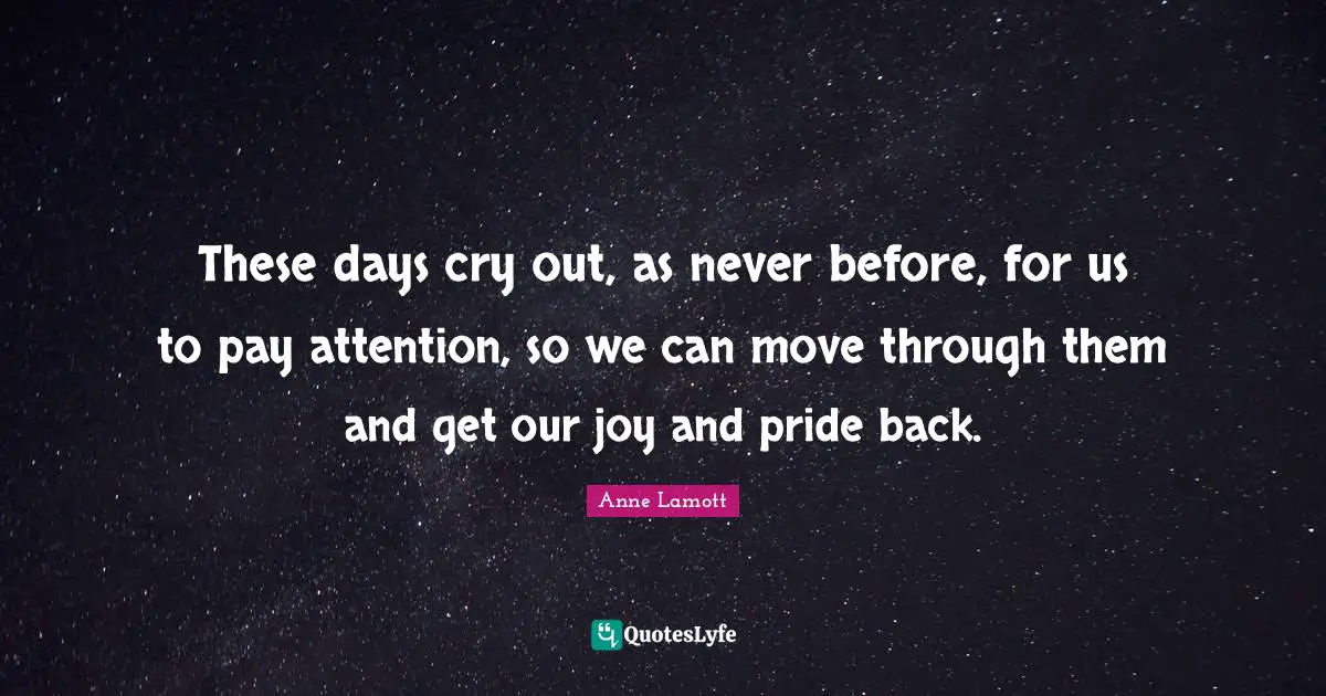 These days cry out, as never before, for us to pay attention, so we can move through them and get our joy and pride back.