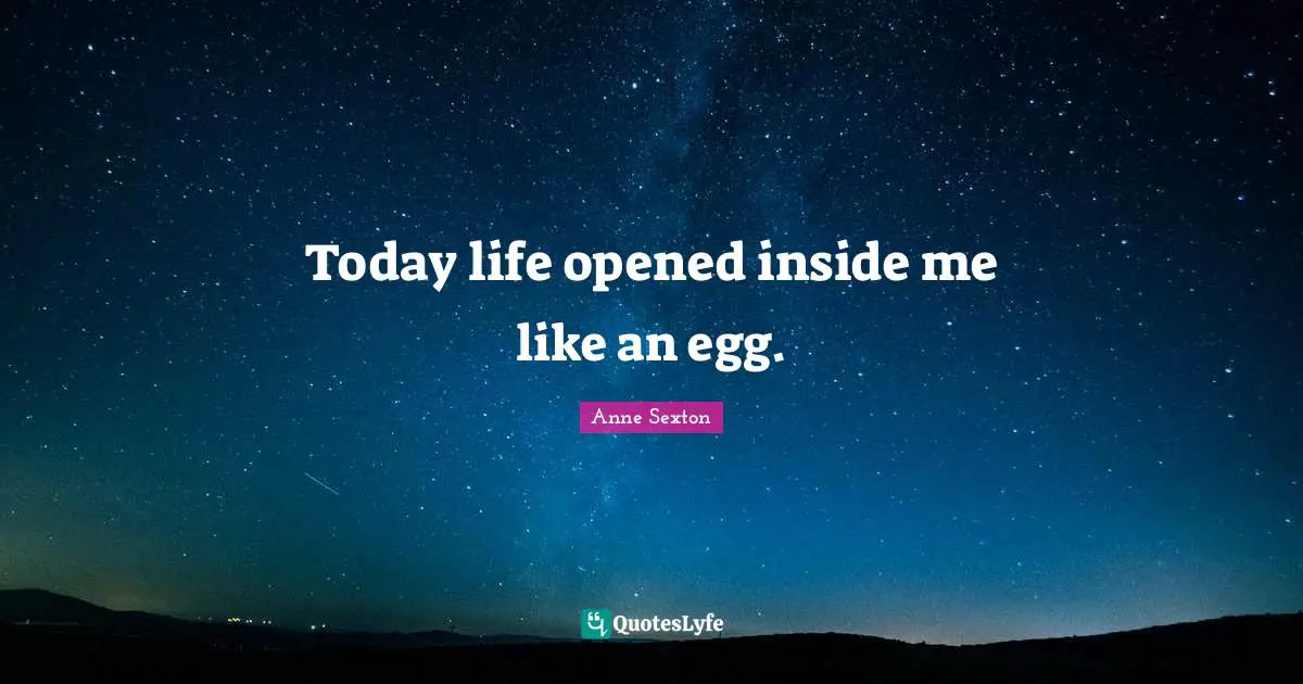 Today life opened inside me like an egg.