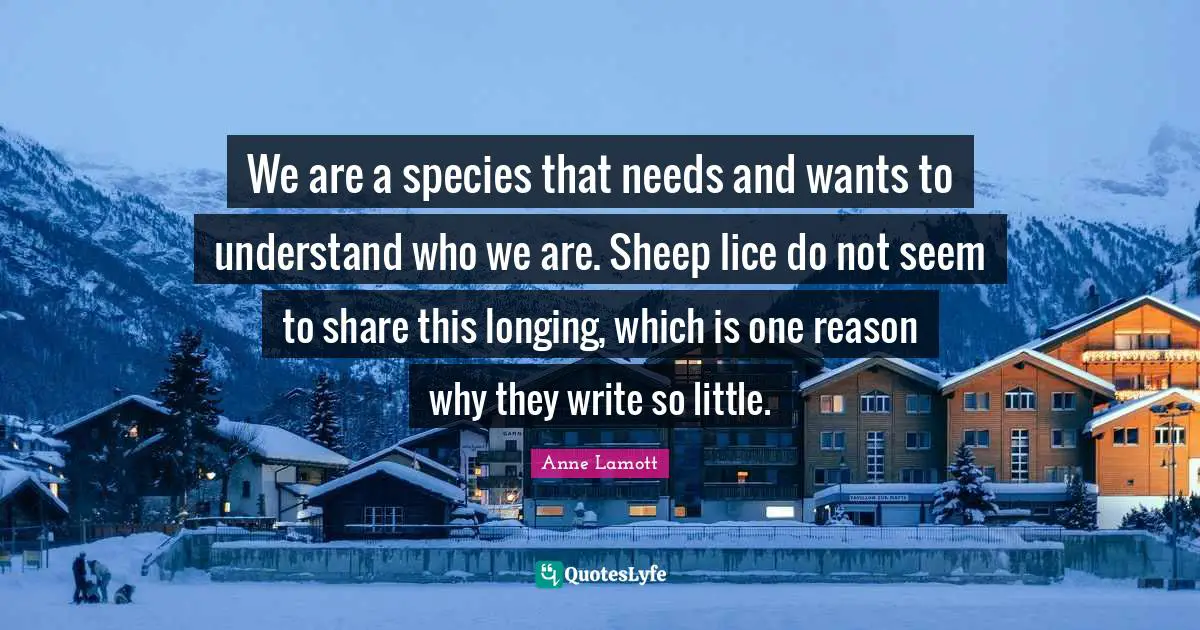 We are a species that needs and wants to understand who we are. Sheep lice do not seem to share this longing, which is one reason why they write so little.