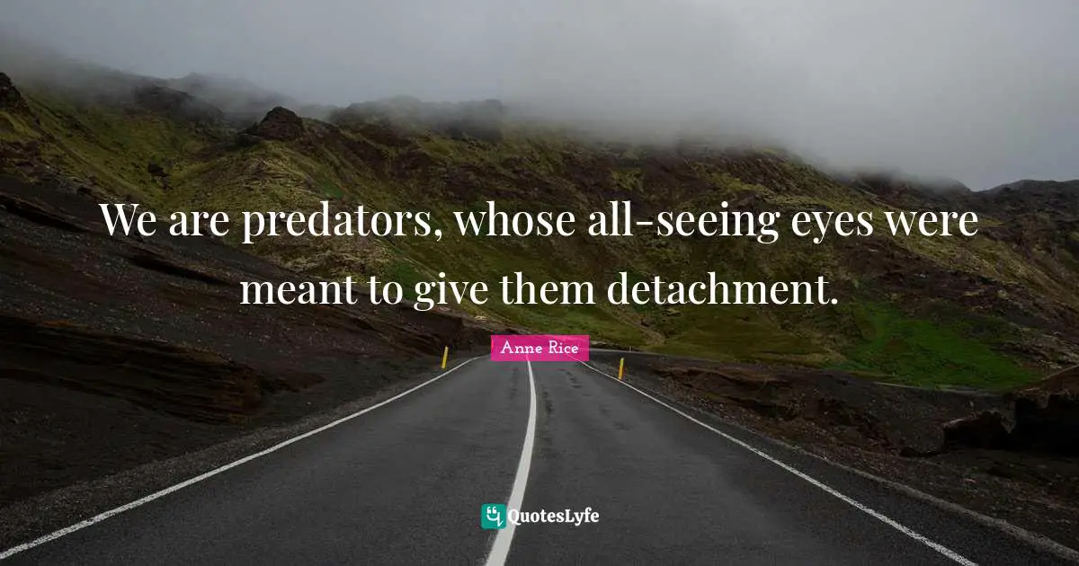 We are predators, whose all-seeing eyes were meant to give them detachment.