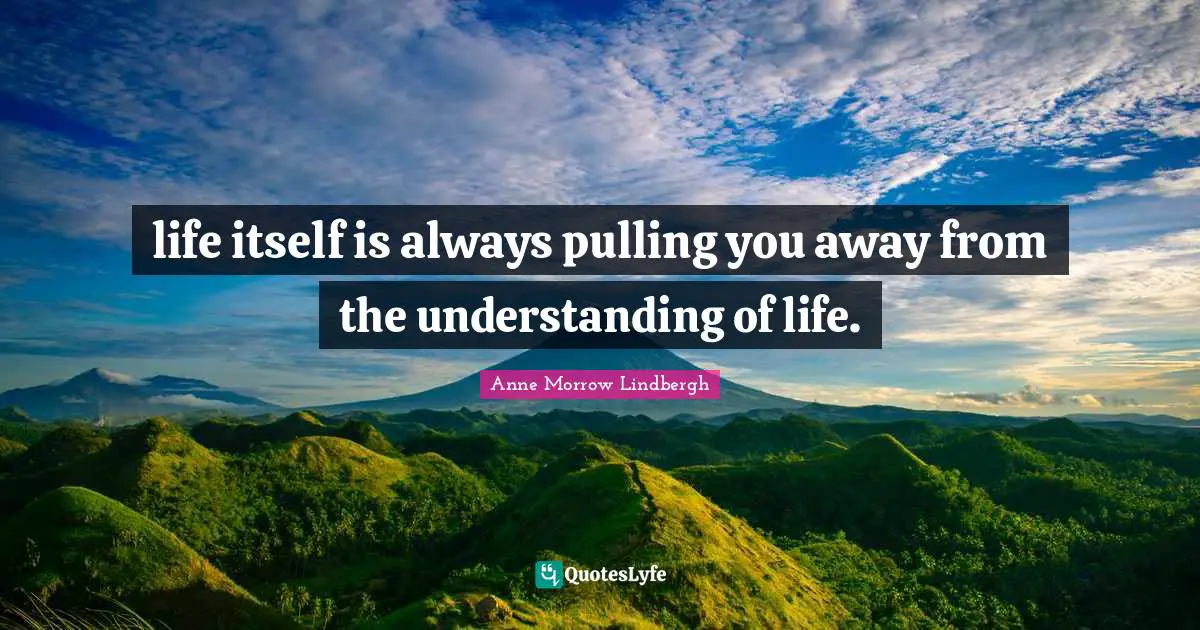 life itself is always pulling you away from the understanding of life.