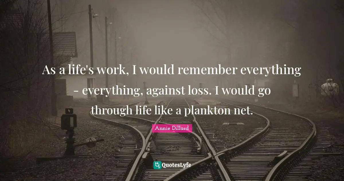 As a life's work, I would remember everything - everything, against loss. I would go through life like a plankton net.