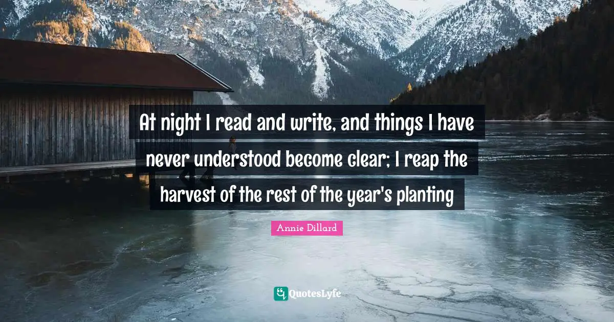 At night I read and write, and things I have never understood become clear; I reap the harvest of the rest of the year's planting