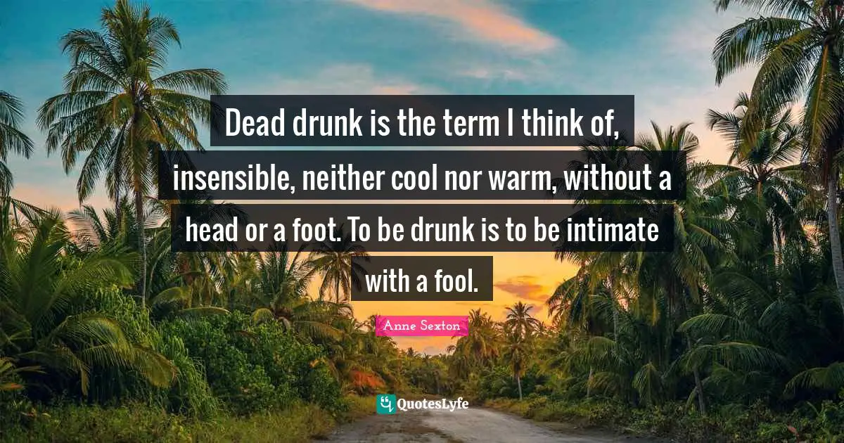 Dead drunk is the term I think of, insensible, neither cool nor warm, without a head or a foot. To be drunk is to be intimate with a fool.