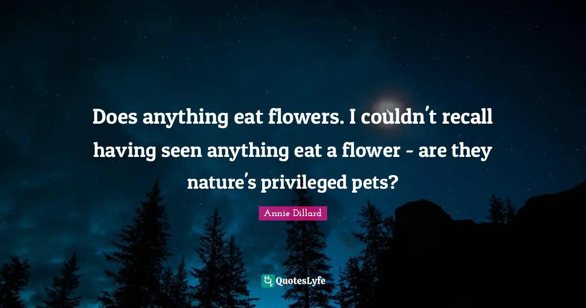 Does anything eat flowers. I couldn't recall having seen anything eat a flower - are they nature's privileged pets?
