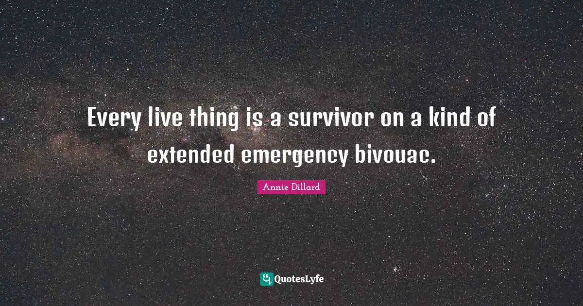 Every live thing is a survivor on a kind of extended emergency bivouac.