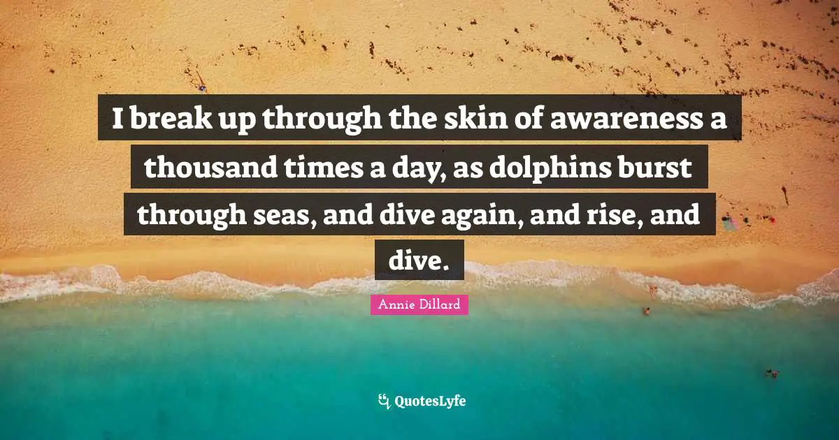 I break up through the skin of awareness a thousand times a day, as dolphins burst through seas, and dive again, and rise, and dive.