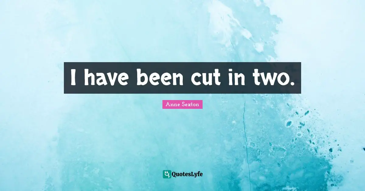 I have been cut in two.