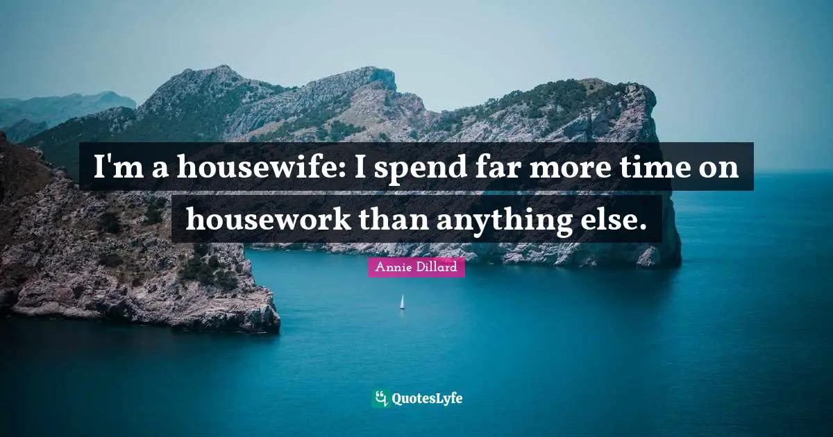 I'm a housewife: I spend far more time on housework than anything else.