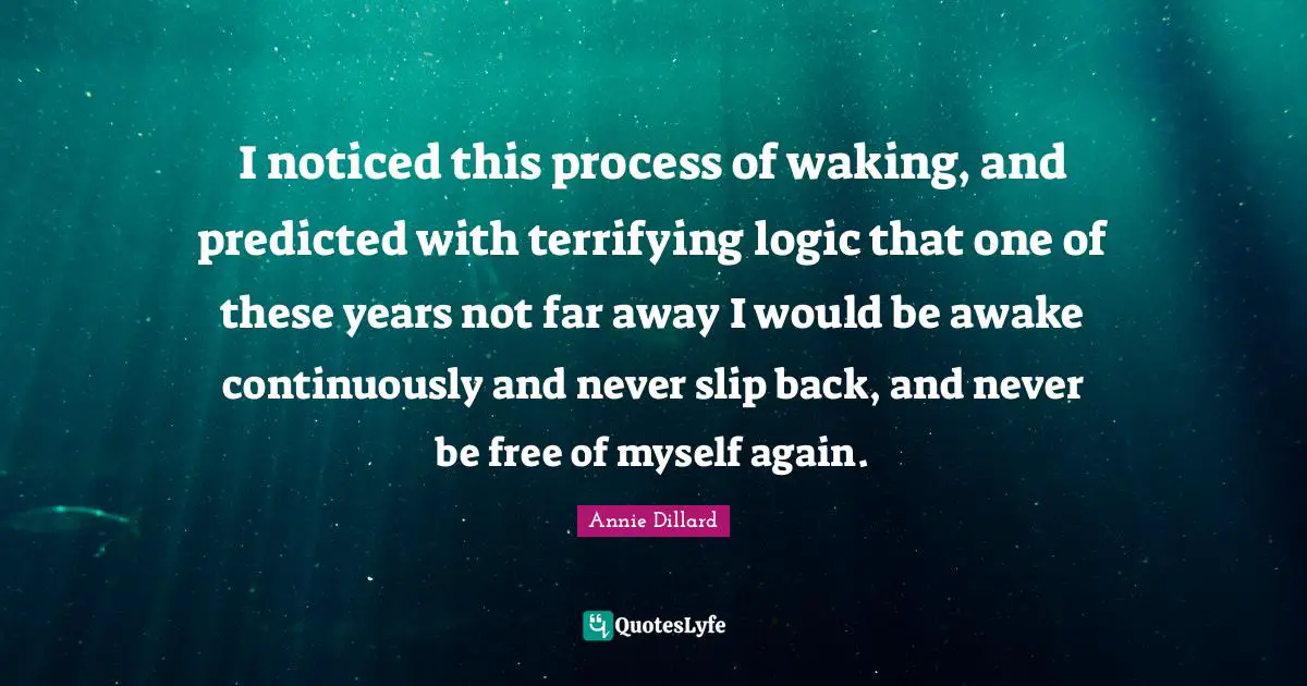 I noticed this process of waking, and predicted with terrifying logic that one of these years not far away I would be awake continuously and never slip back, and never be free of myself again.