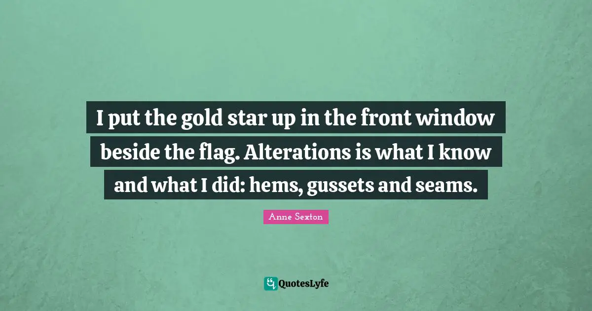 I put the gold star up in the front window beside the flag. Alterations is what I know and what I did: hems, gussets and seams.