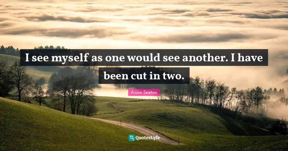I see myself as one would see another. I have been cut in two.
