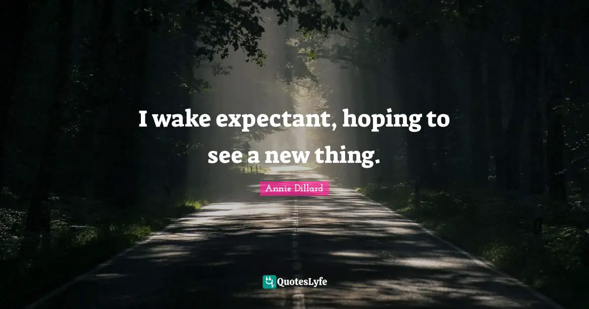 New Beginnings Quotes: "I wake expectant, hoping to see a new thing."
