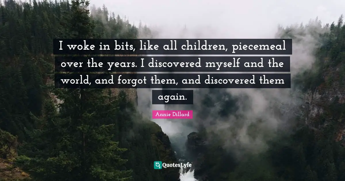 I woke in bits, like all children, piecemeal over the years. I discovered myself and the world, and forgot them, and discovered them again.