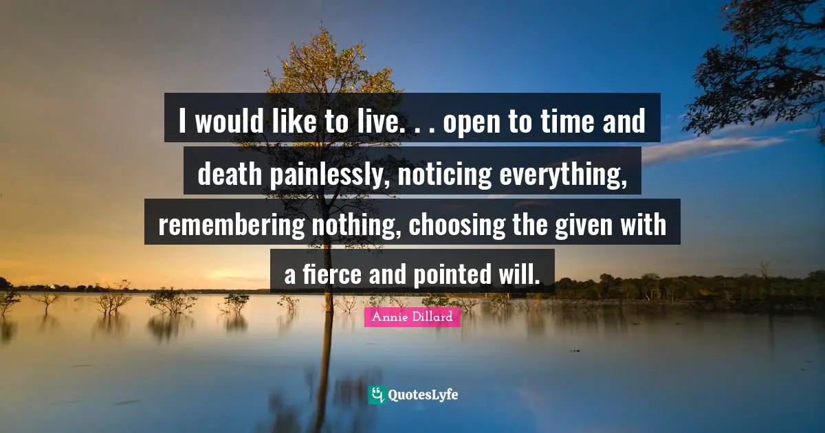 I would like to live. . . open to time and death painlessly, noticing everything, remembering nothing, choosing the given with a fierce and pointed will.