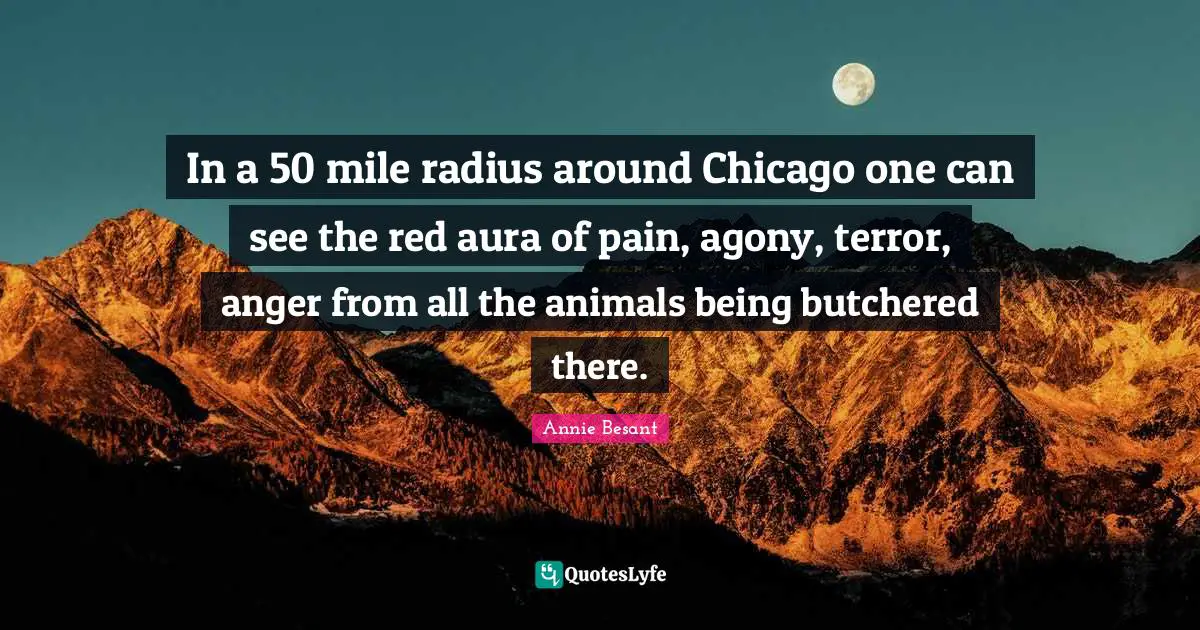 Annie Besant Quotes: "In a 50 mile radius around Chicago one can see the red aura of pain, agony, terror, anger from all the animals being butchered there."