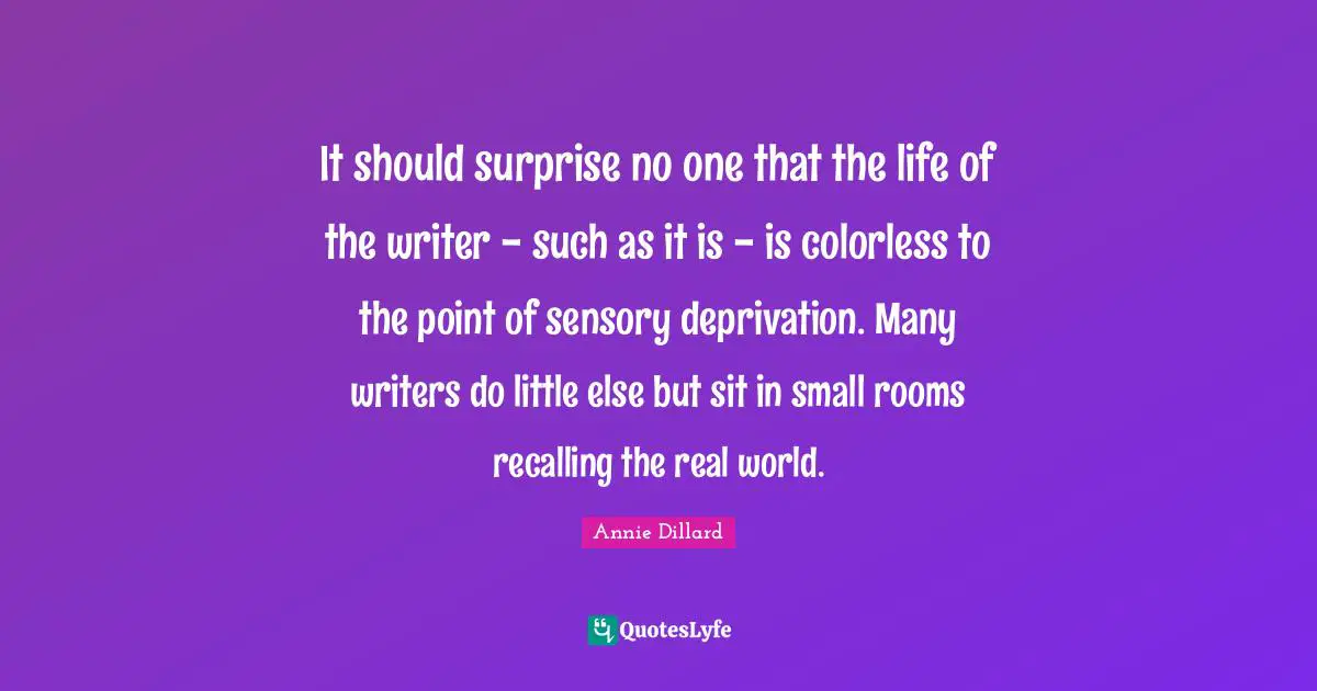 It should surprise no one that the life of the writer - such as it is - is colorless to the point of sensory deprivation. Many writers do little else but sit in small rooms recalling the real world.
