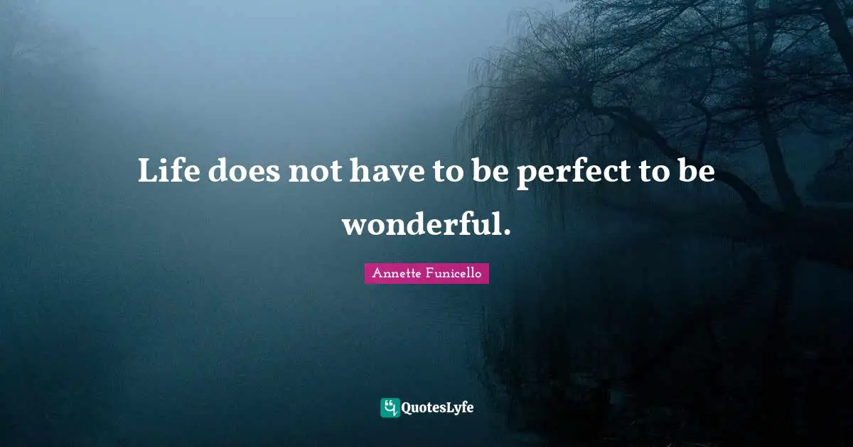Life does not have to be perfect to be wonderful.