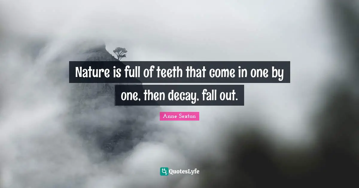 Nature is full of teeth that come in one by one, then decay, fall out.