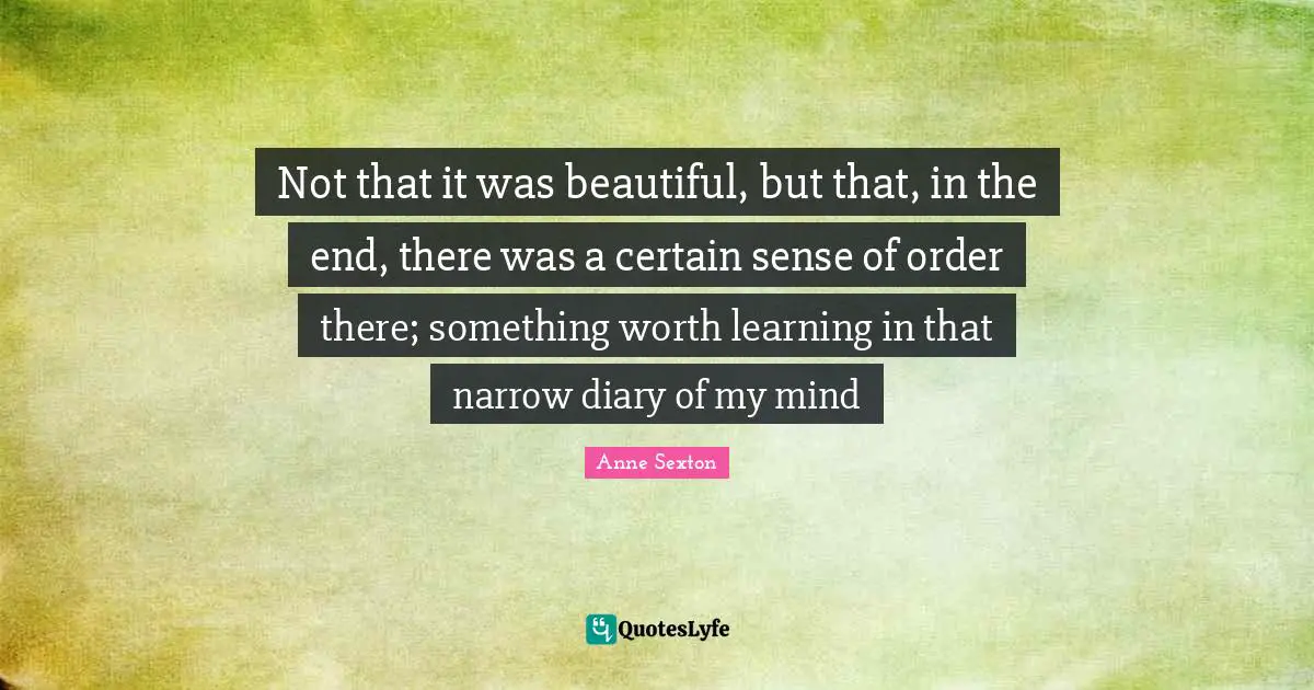 Not that it was beautiful, but that, in the end, there was a certain sense of order there; something worth learning in that narrow diary of my mind