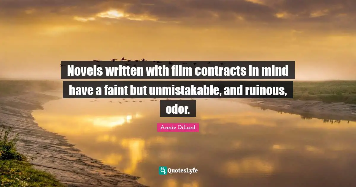 Novels written with film contracts in mind have a faint but unmistakable, and ruinous, odor.