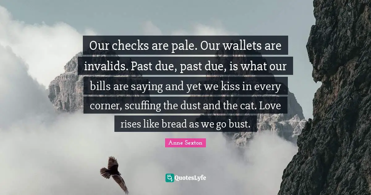Our checks are pale. Our wallets are invalids. Past due, past due, is what our bills are saying and yet we kiss in every corner, scuffing the dust and the cat. Love rises like bread as we go bust.